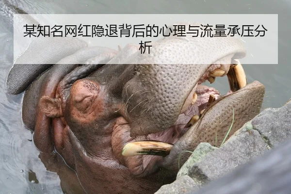 某知名网红隐退背后的心理与流量承压分析